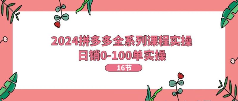（11222期）2024拼多多全系列课程实操，日销0-100单实操【16节课】-副业心选