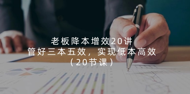 （11238期）老板 降本增效20讲，管好 三本五效，实现低本高效（20节课） - 副业心选-副业心选
