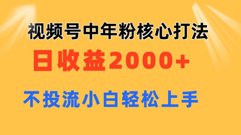 （11205期）视频号中年粉核心玩法 日收益2000+ 不投流小白轻松上手-副业心选
