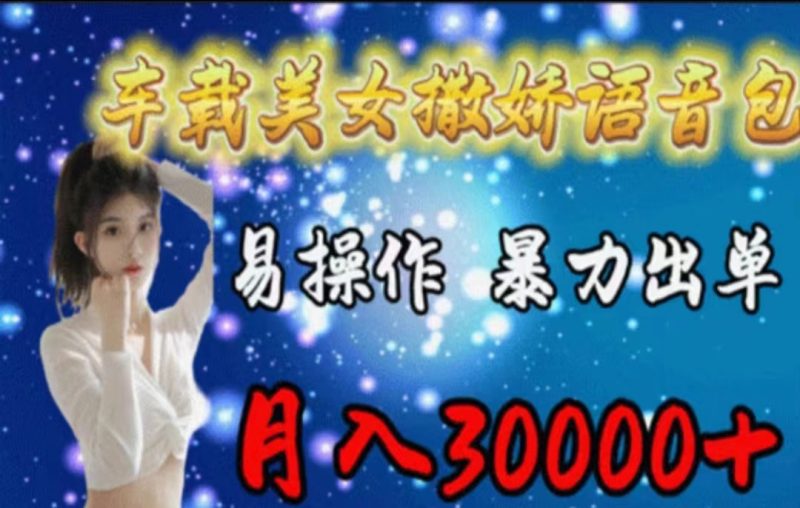 （11249期）车载美女撒娇语音包，执行就出单，月入3000＋，小白看完课程就能马上实操-副业心选