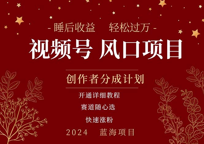 （11331期）拥有睡眠收益的微信视频号大风口项目，轻松月入过万+，多赛道选择，可… - 副业心选-副业心选
