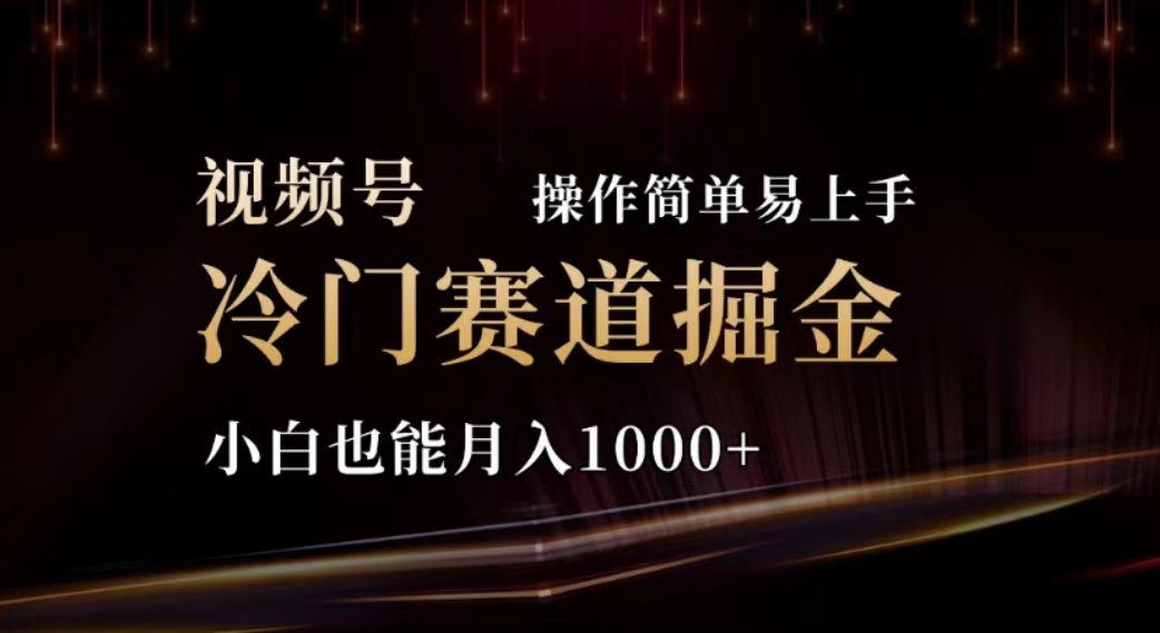 （11378期）2024视频号冷门赛道掘金，操作简单轻松上手，小白也能月入1000+ - 副业心选-副业心选