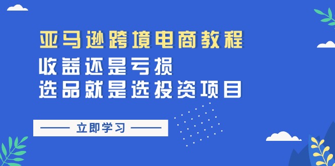 （11432期）亚马逊跨境电商教程：收益还是亏损！选品就是选投资项目 - 副业心选-副业心选