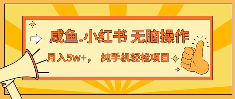 （11524期）2024最赚钱的项目，咸鱼，小红书无脑操作，每单利润500+，轻松月入5万+… - 副业心选-副业心选