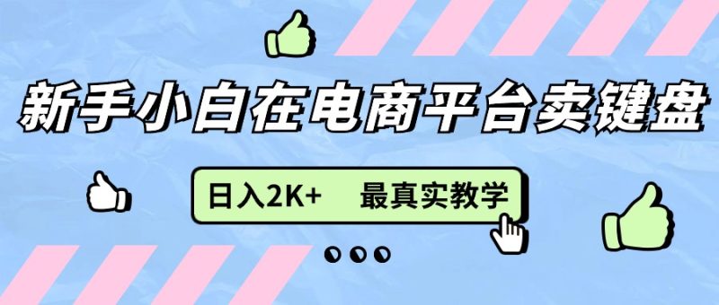 （11610期）新手小白在电商平台卖键盘，日入2K+最真实教学-副业心选