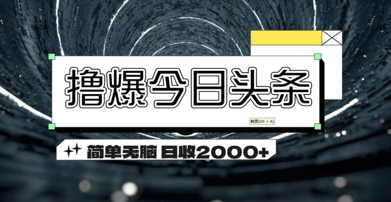 （11665期）撸爆今日头条 简单无脑操作 日收2000+-副业心选