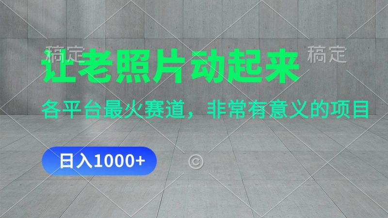 （11671期）让老照片动起来，一天变现1000+，各平台最火赛道，看完就会-副业心选