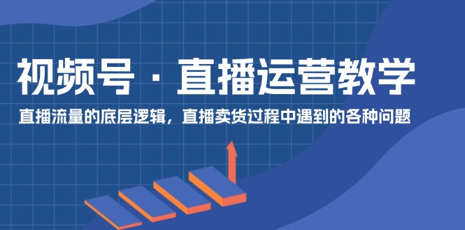 （11687期）视频号 直播运营教学：直播流量的底层逻辑，直播卖货过程中遇到的各种问题 - 副业心选-副业心选