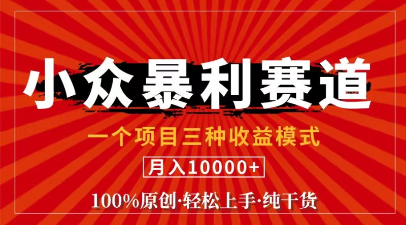 （11695期）视频号【中老年粉深信不疑】小众赛道 100%原创 手把手教学 新号3天收益…-副业心选