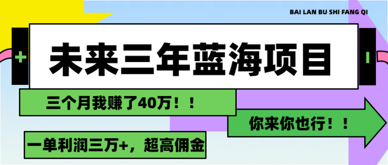 （11716期）未来三年，蓝海赛道，月入3万+-副业心选