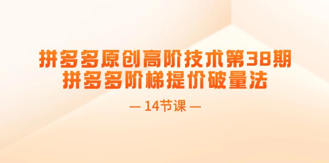 （11704期）拼多多原创高阶技术第38期，拼多多阶梯提价破量法（14节课）-副业心选