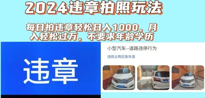 （11743期）2024违章拍照新玩法，推广躺赚+拍照赚钱双模式，日入1000+-副业心选