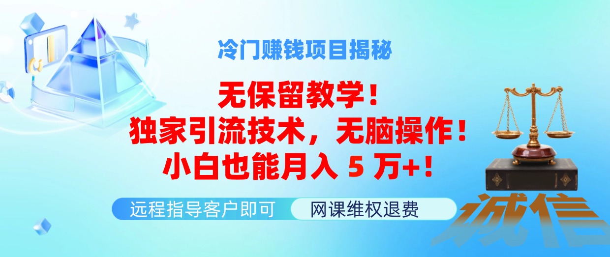 （11864期）冷门赚钱项目无保留教学！独家引流技术，无脑操作！小白也能月入5万+！ - 副业心选-副业心选