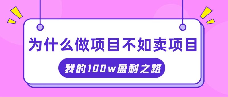 （11893期）抓住互联网创业红利期，我通过卖项目轻松赚取100W+-副业心选