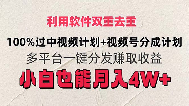 （11862期）利用软件双重去重，100%过中视频+视频号分成计划小白也可以月入4W+ - 副业心选-副业心选