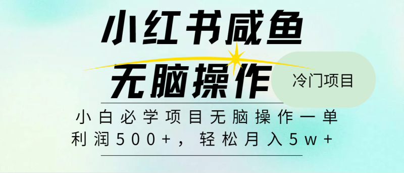 （11888期）2024最热门赚钱暴利手机操作项目，简单无脑操作，每单利润最少500-副业心选