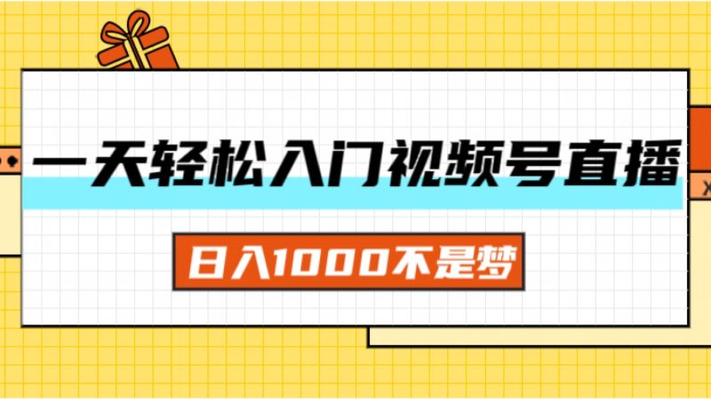 （11906期）一天入门视频号直播带货，日入1000不是梦-副业心选