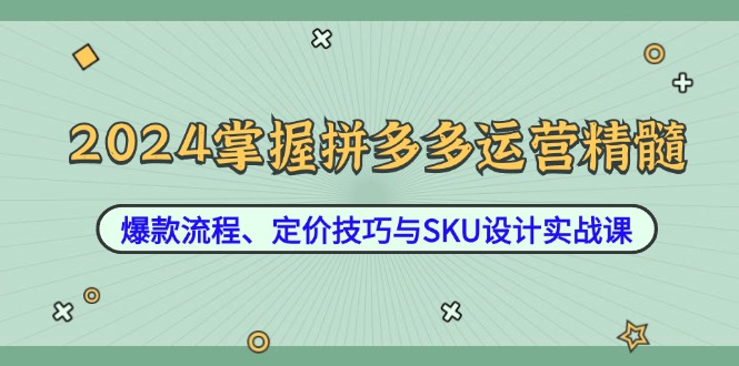 （12703期）2024掌握拼多多运营精髓：爆款流程、定价技巧与SKU设计实战课 - 副业心选-副业心选