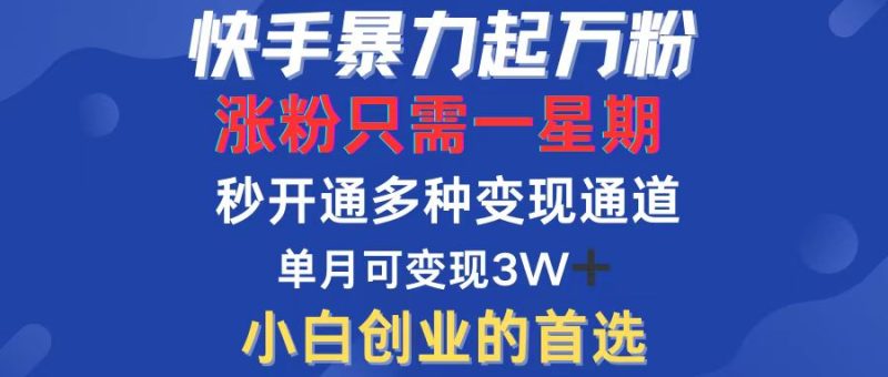 （12651期）快手暴力起万粉，涨粉只需一星期，多种变现模式，直接秒开万合，小白创…-副业心选