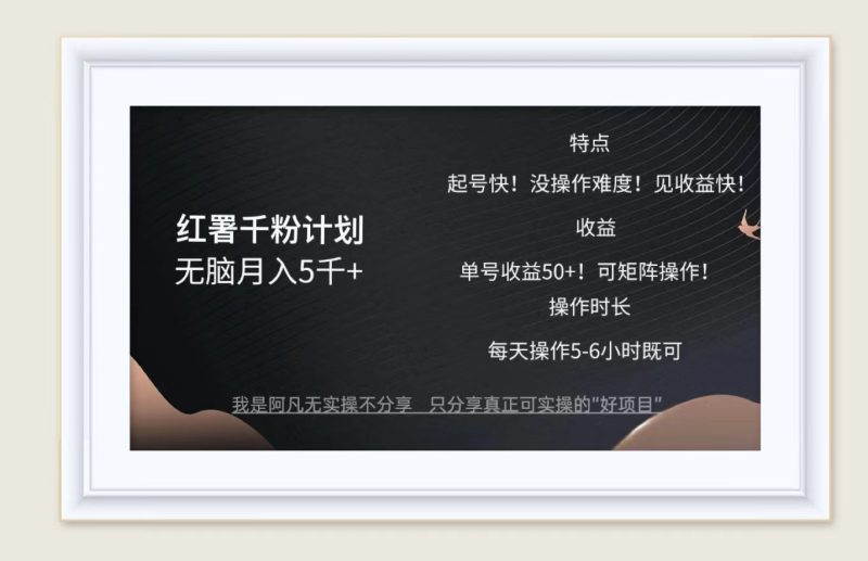 （12560期）红薯千粉计划无脑月入5千+！既做既赚！-副业心选