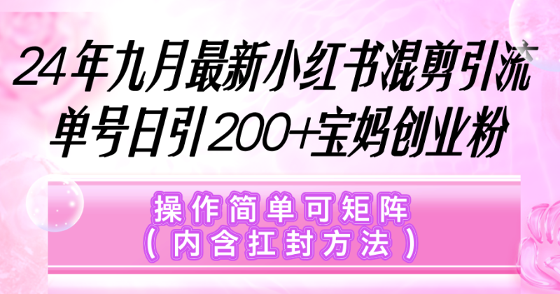 （12530期）小红书混剪引流，单号日引200+宝妈创业粉，操作简单可矩阵（内含扛封…-副业心选