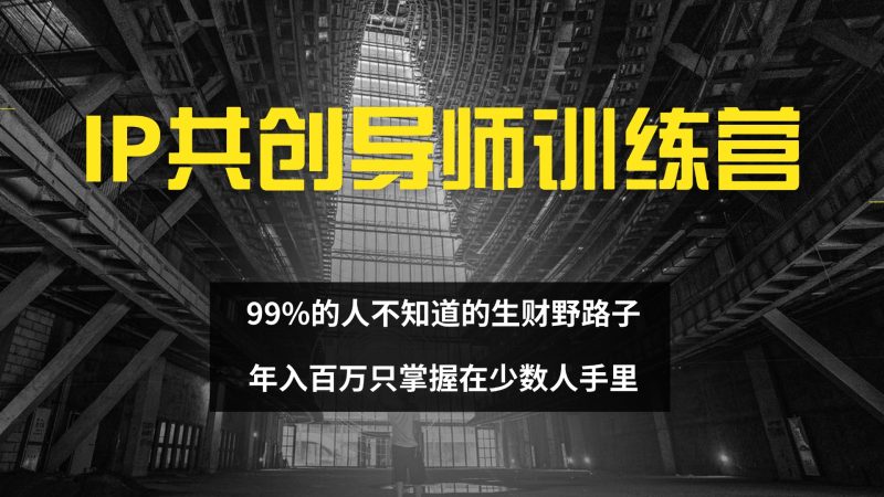 （12504期）IP共创导师训练营 99%的人不知道的生财野路子 只掌握在少数人手里-副业心选