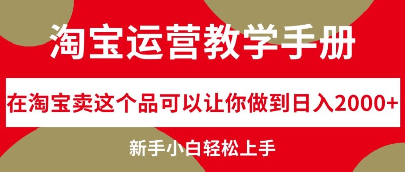 （12351期）淘宝运营教学手册，在淘宝卖这个品可以让你做到日入2000+，新手小白轻…-副业心选
