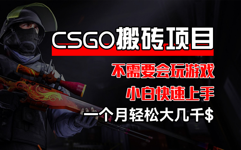 （12332期）CSGO 装备搬砖项目，操作简单，不需要会玩游戏，小白也能快速上手，一… - 副业心选-副业心选