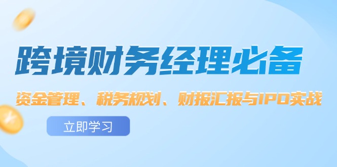 （12323期）跨境 财务经理必备：资金管理、税务规划、财报汇报与IPO实战-副业心选