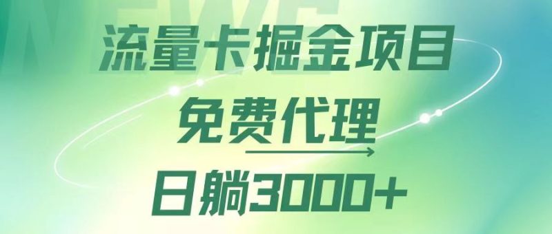 （12321期）流量卡掘金代理，日躺赚3000+，变现暴力，多种推广途径-副业心选