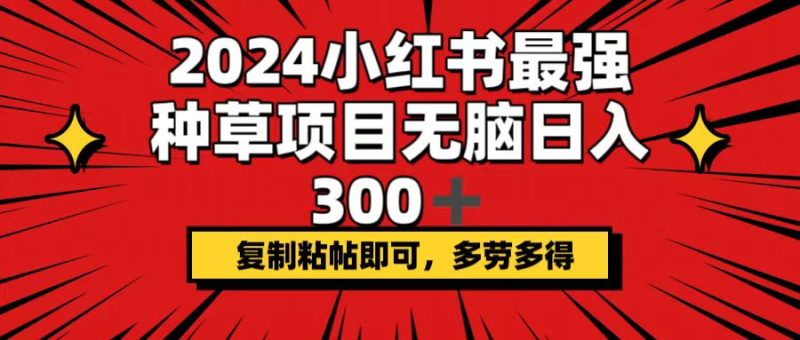 （12336期）2024小红书最强种草项目，无脑日入300+，复制粘帖即可，多劳多得-副业心选