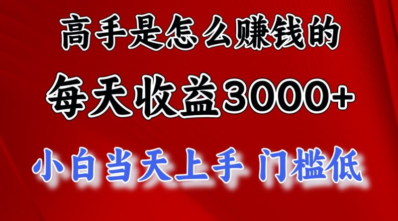 （12144期）1天收益3000+，月收益10万以上，24年8月份爆火项目-副业心选