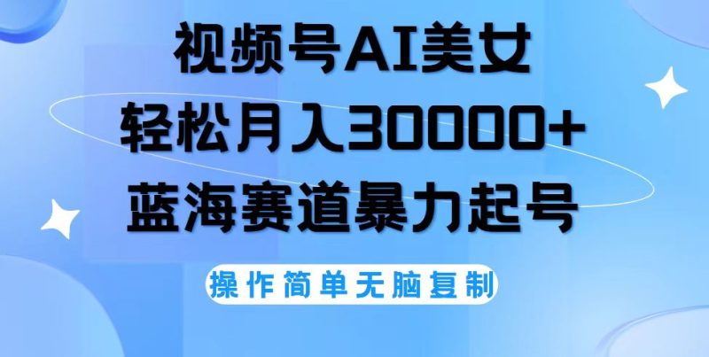 （12125期）视频号AI美女跳舞，轻松月入30000+，蓝海赛道，流量池巨大，起号猛，无…-副业心选