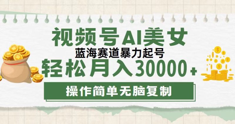 （12087期）视频号AI美女跳舞，轻松月入30000+，蓝海赛道，流量池巨大，起号猛，无…-副业心选