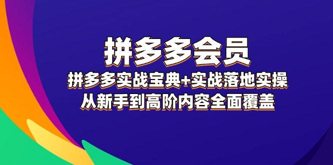 （12056期）拼多多 会员，拼多多实战宝典+实战落地实操，从新手到高阶内容全面覆盖 - 副业心选-副业心选