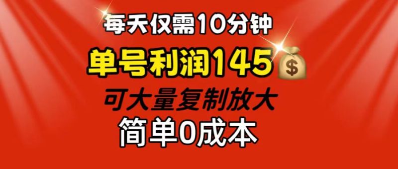 （12027期）每天仅需10分钟，单号利润145 可复制放大 简单0成本-副业心选