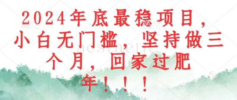（12970期）2024年底最稳项目，小白无门槛，坚持做三个月，回家过肥年！！！-副业心选