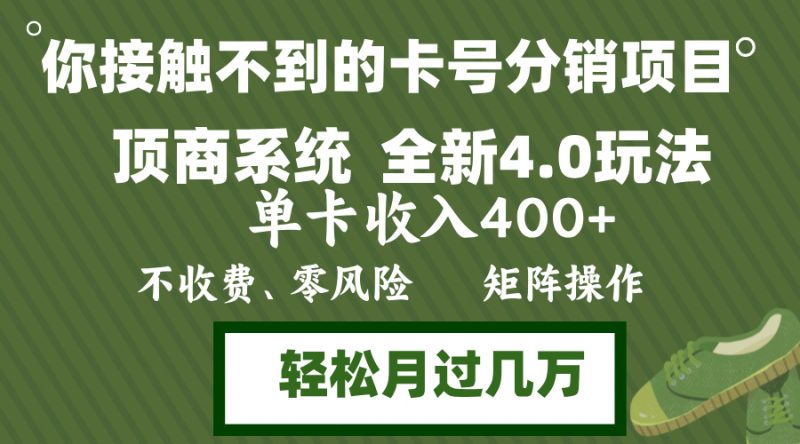 （12917期）年底卡号分销顶商系统4.0玩法，单卡收入400+，0门槛，无脑操作，矩阵操…-副业心选