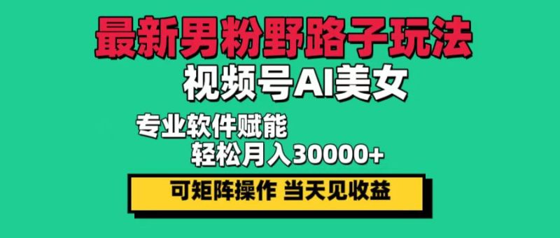 （12909期）最新男粉野路子玩法，视频号AI美女，当天见收益，轻松月入30000＋-副业心选