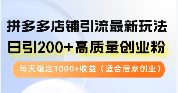 （12892期）拼多多店铺引流最新玩法，日引200+高质量创业粉，每天稳定1000+收益（…-副业心选