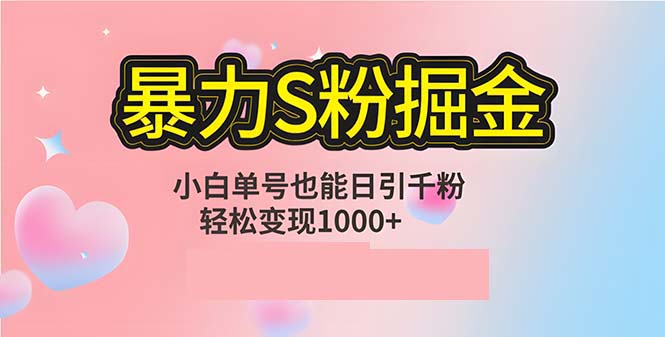 （12778期）单人单机日引千粉，变现1000+，S粉流量掘金计划攻略 - 副业心选-副业心选