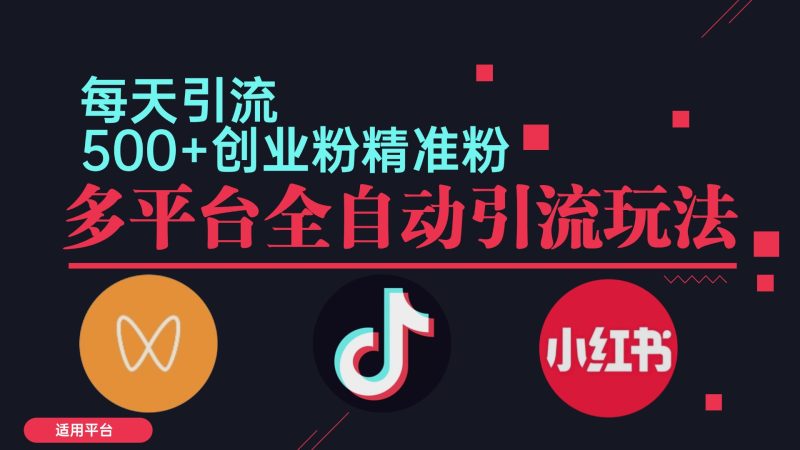 （12765期）小红书抖音视频号截流自热全平台引流打法，全自动引流【日引2000+精准…-副业心选