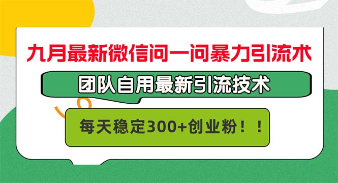 （12735期）九月最新微信问一问暴力引流术，团队自用引流术，每天稳定300+创… - 副业心选-副业心选