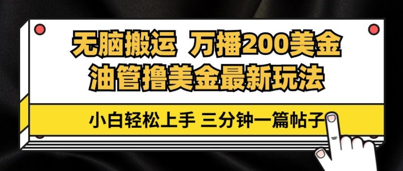 （13050期）油管无脑搬运撸美金玩法教学，万播200刀，三分钟一篇帖子，小白轻松上手-副业心选