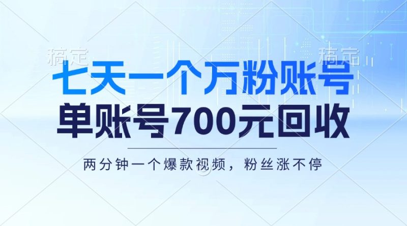 （13062期）七天一个万粉账号，新手小白秒上手，单账号回收700元，轻松月入三万＋-副业心选