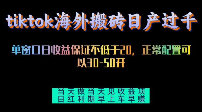 （13079期）tiktok海外搬砖项目单机日产过千当天做当天见收益-副业心选
