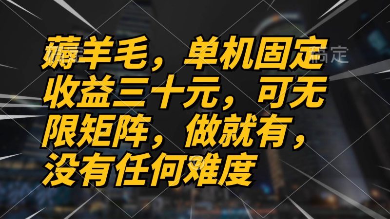 （13162期）薅羊毛项目，单机三十元，做就有，可无限矩阵 无任何难度-副业心选