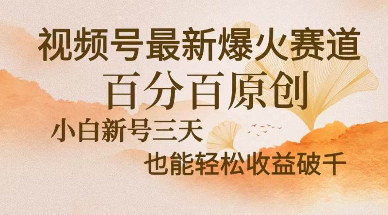 （13225期）视频号最新爆火赛道，中老年粉深信不疑，百分百原创，新号三天收益轻松…-副业心选