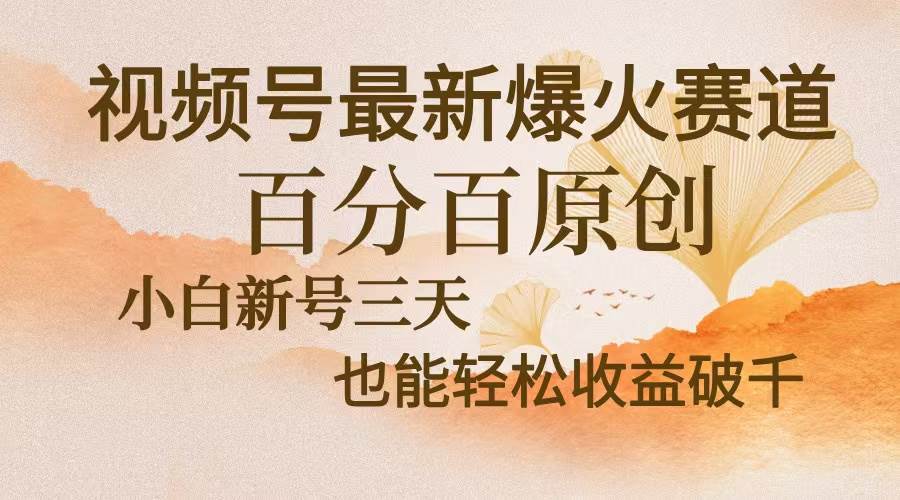 （13225期）视频号最新爆火赛道，中老年粉深信不疑，百分百原创，新号三天收益轻松… - 副业心选-副业心选