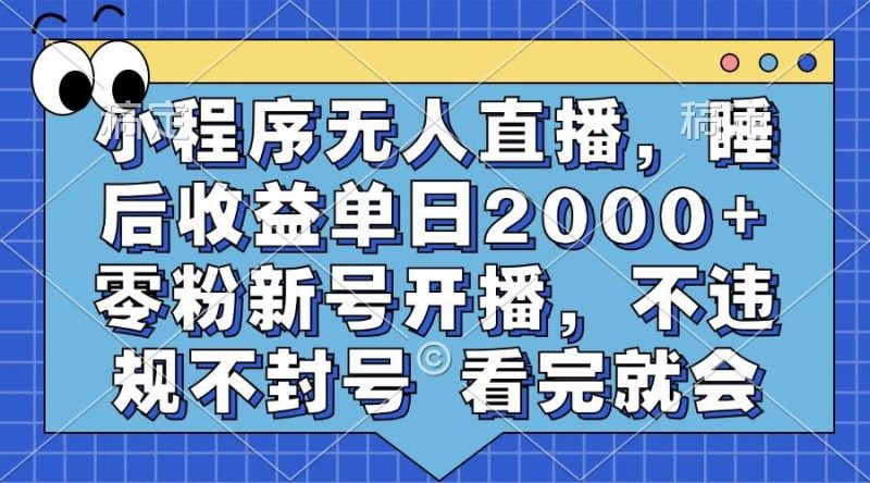 （13251期）小程序无人直播，睡后收益单日2000+ 零粉新号开播，不违规不封号 看完就会-副业心选